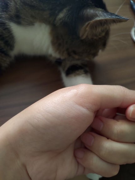 毛穴レスコンシーラー/CEZANNE/クリームコンシーラーを使ったクチコミ(3枚目)