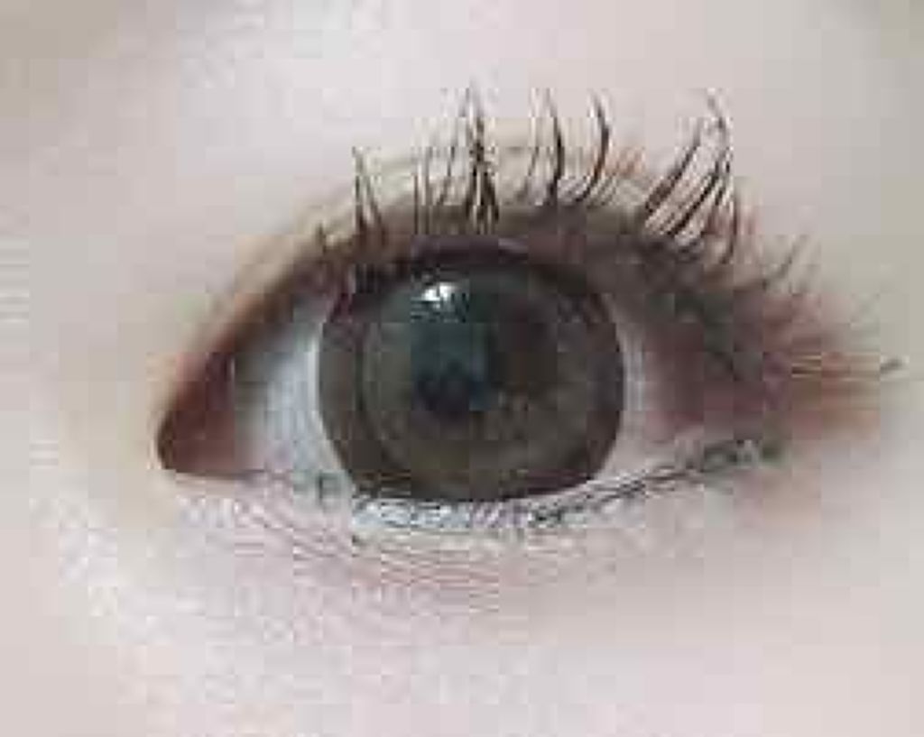 クイックラッシュカーラー/キャンメイク/マスカラ下地を使ったクチコミ（1枚目）