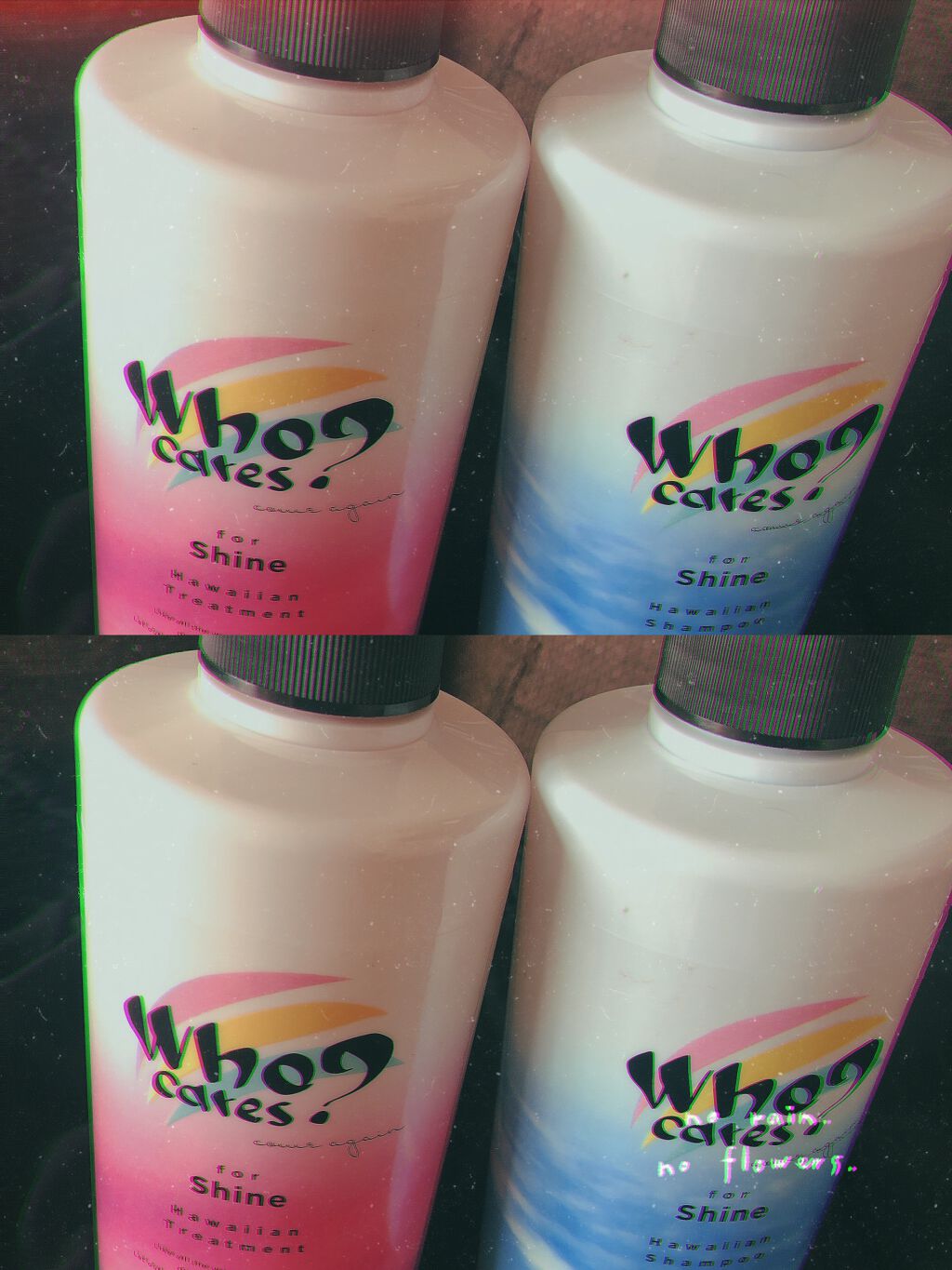 ハワイアンシャンプー＆トリートメント ＜シャイン＞/who cares?/市販シャンプーを使ったクチコミ（1枚目）