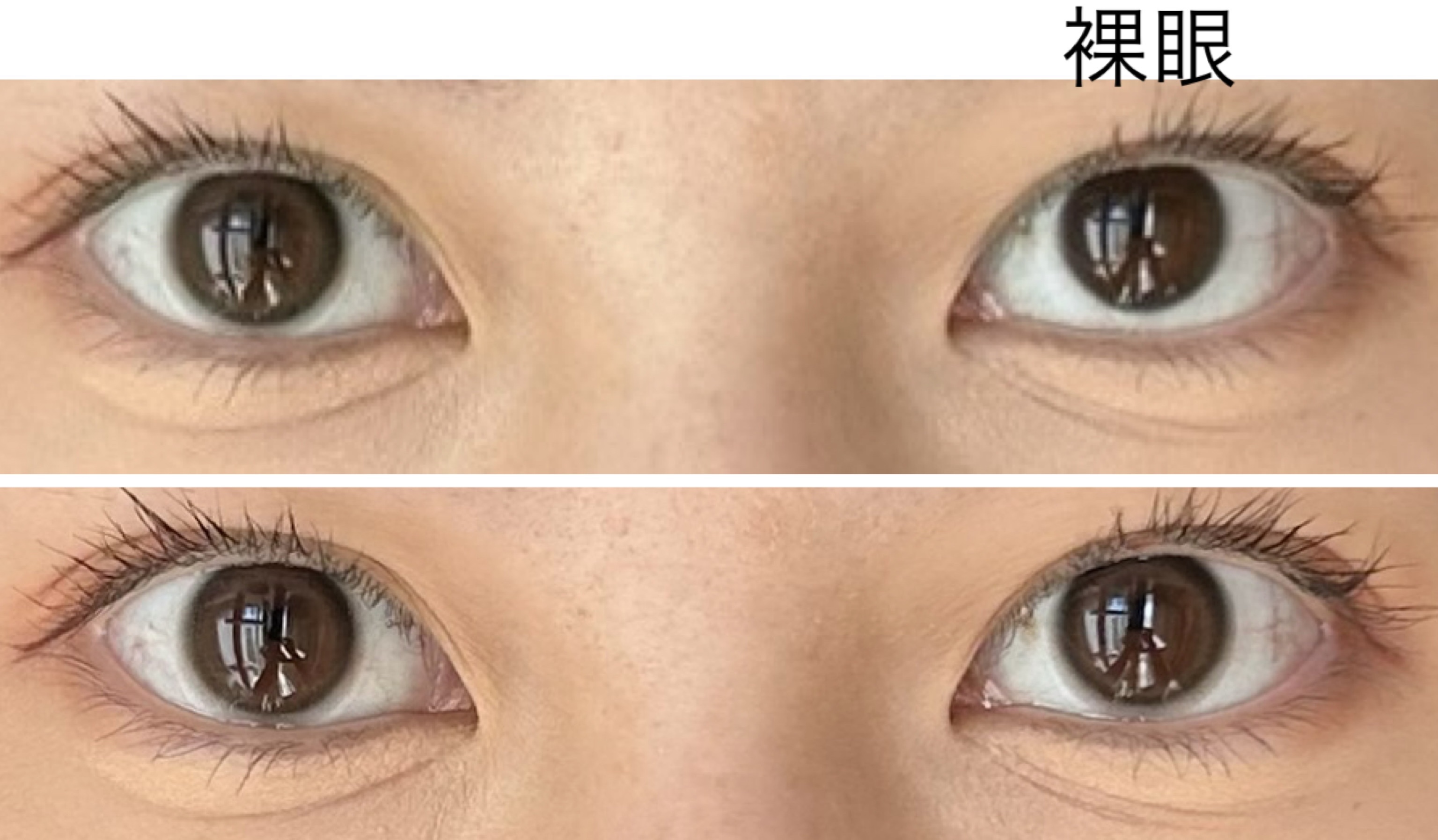 マリナシリーズ	 マリナブラウン/LENSSIS/カラーコンタクトレンズを使ったクチコミ（2枚目）