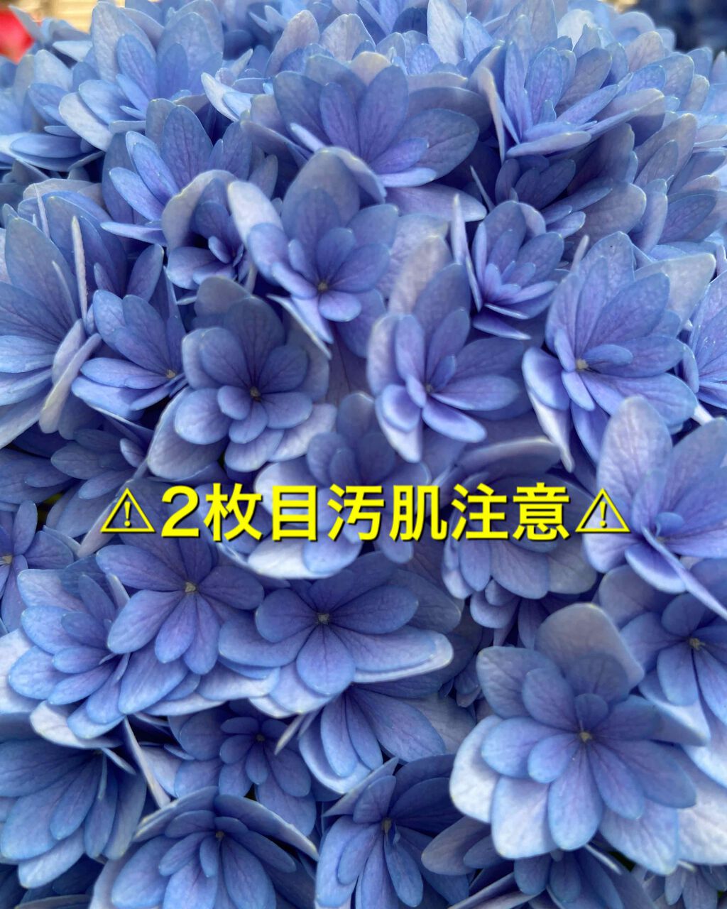 amin on LIPS 「こんばんは!皆さん自宅待機、楽しんでますか?いやいや、もぉ常に..」(1枚目)