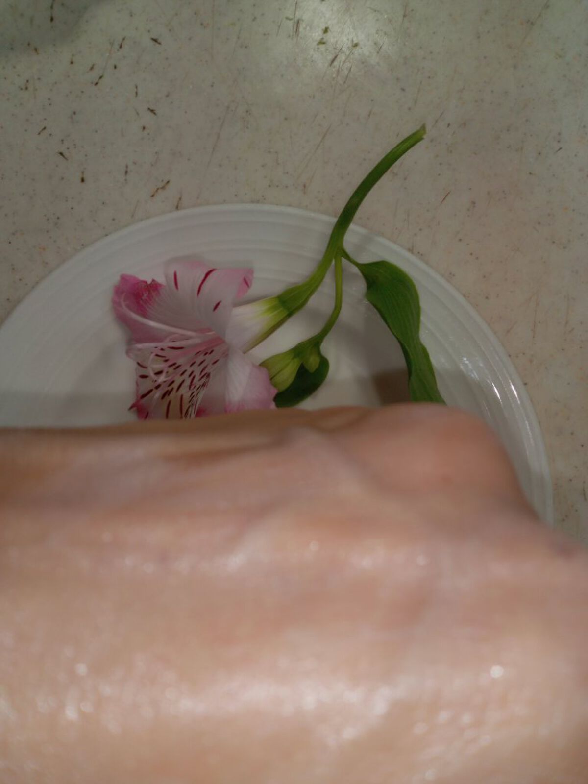 マーメイドスキンジェルUV/キャンメイク/日焼け止めジェルを使ったクチコミ（3枚目）