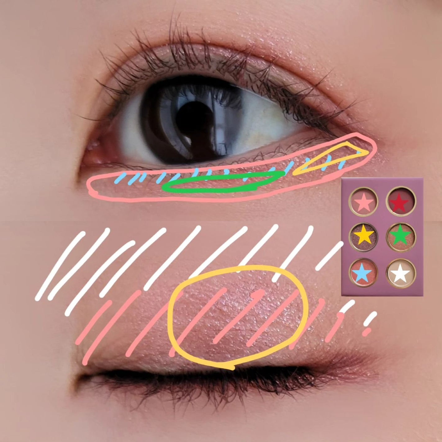 ライプンアイカラーパレット/FRESHO2/アイシャドウパレットを使ったクチコミ(5枚目)