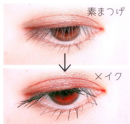 ゴクブトマスカラ/キャンメイク/マスカラを使ったクチコミ(2枚目)