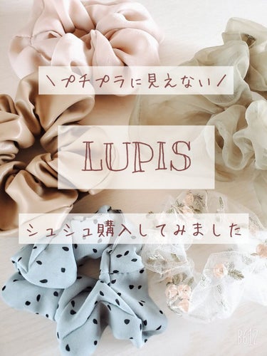 LUPIS ヘアアクセサリー/LUPIS/ヘアケアグッズを使ったクチコミ（1枚目）