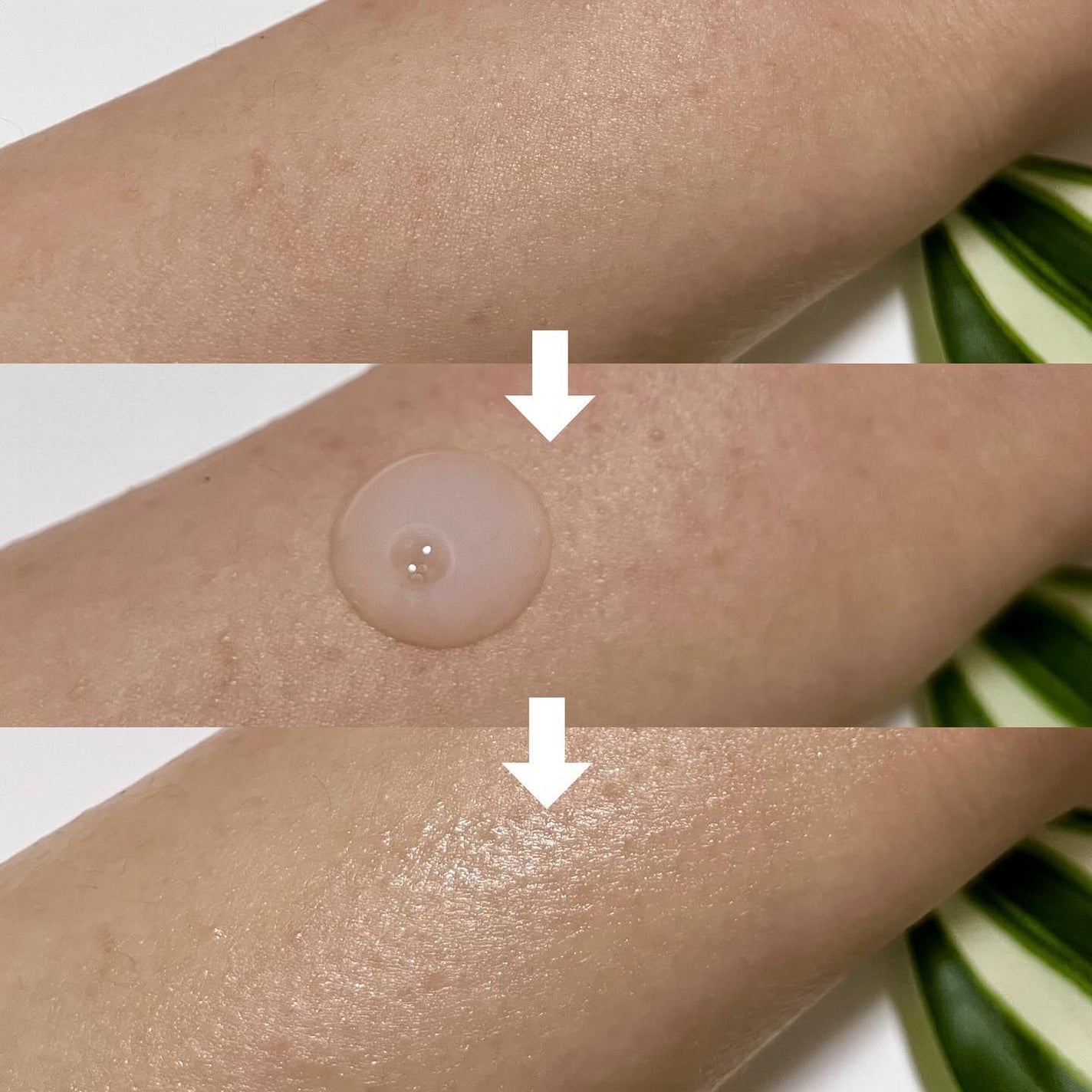 NIACIN 20% セラム/TIRTIR(ティルティル)/美容液を使ったクチコミ(5枚目)