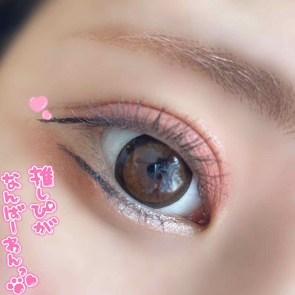 【旧品】パーフェクトスタイリストアイズ/キャンメイク/アイシャドウパレットを使ったクチコミ(1枚目)