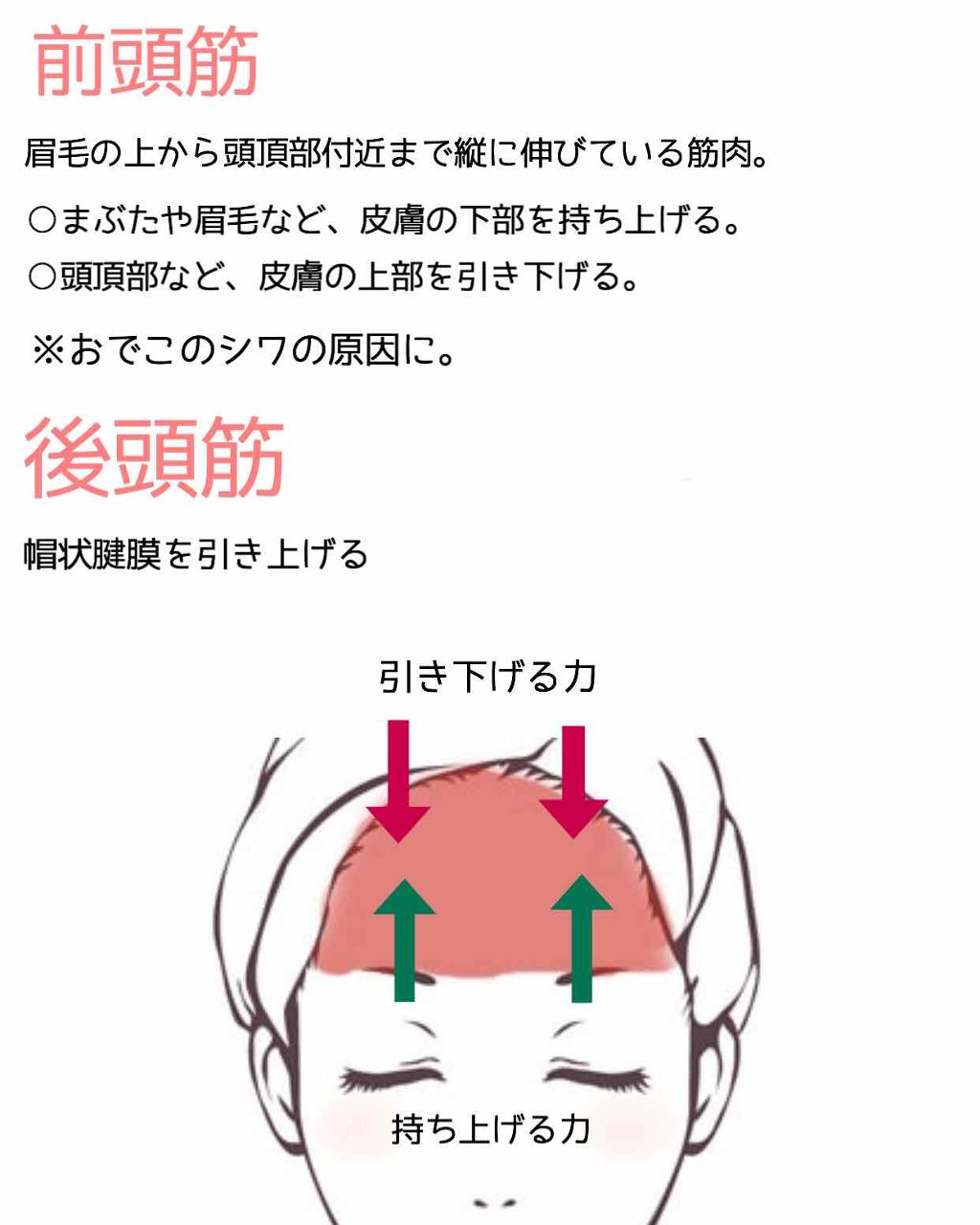 uka scalp brush kenzan/uka/スカルプブラシを使ったクチコミ（2枚目）