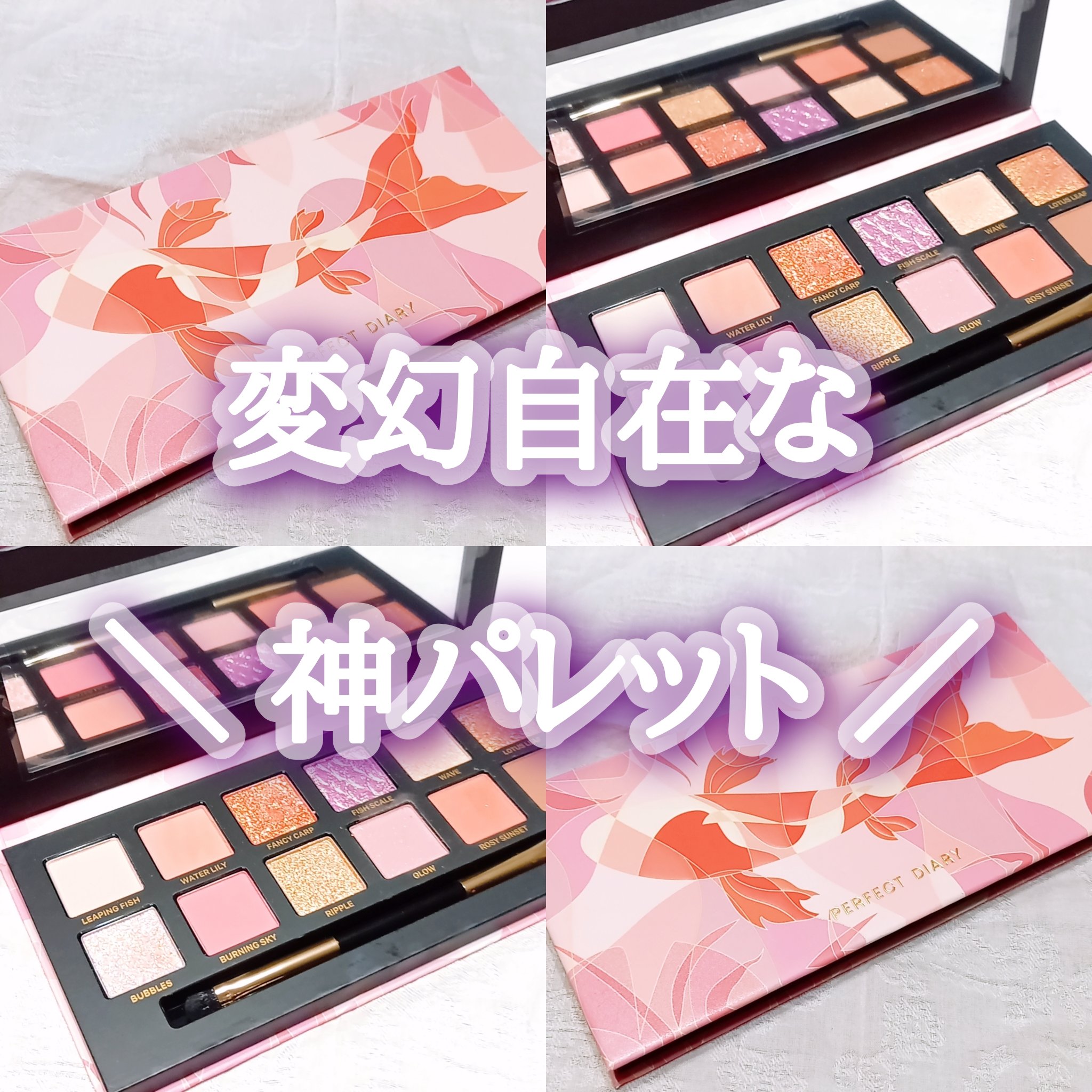 エクスプローラ12色 動物アイシャドウパレット 鯉/PERFECT DIARY/アイシャドウパレットを使ったクチコミ（1枚目）