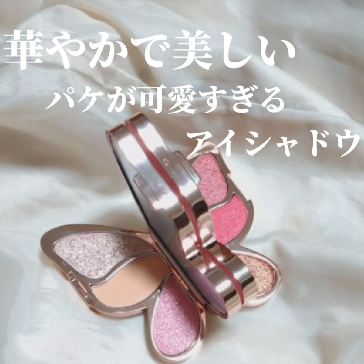 butterfly 6 colors Eye Shadow/gecomo/アイシャドウパレットを使ったクチコミ（1枚目）