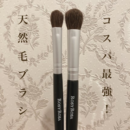 アイシャドウブラシセット/ロージーローザ/メイクブラシを使ったクチコミ(1枚目)