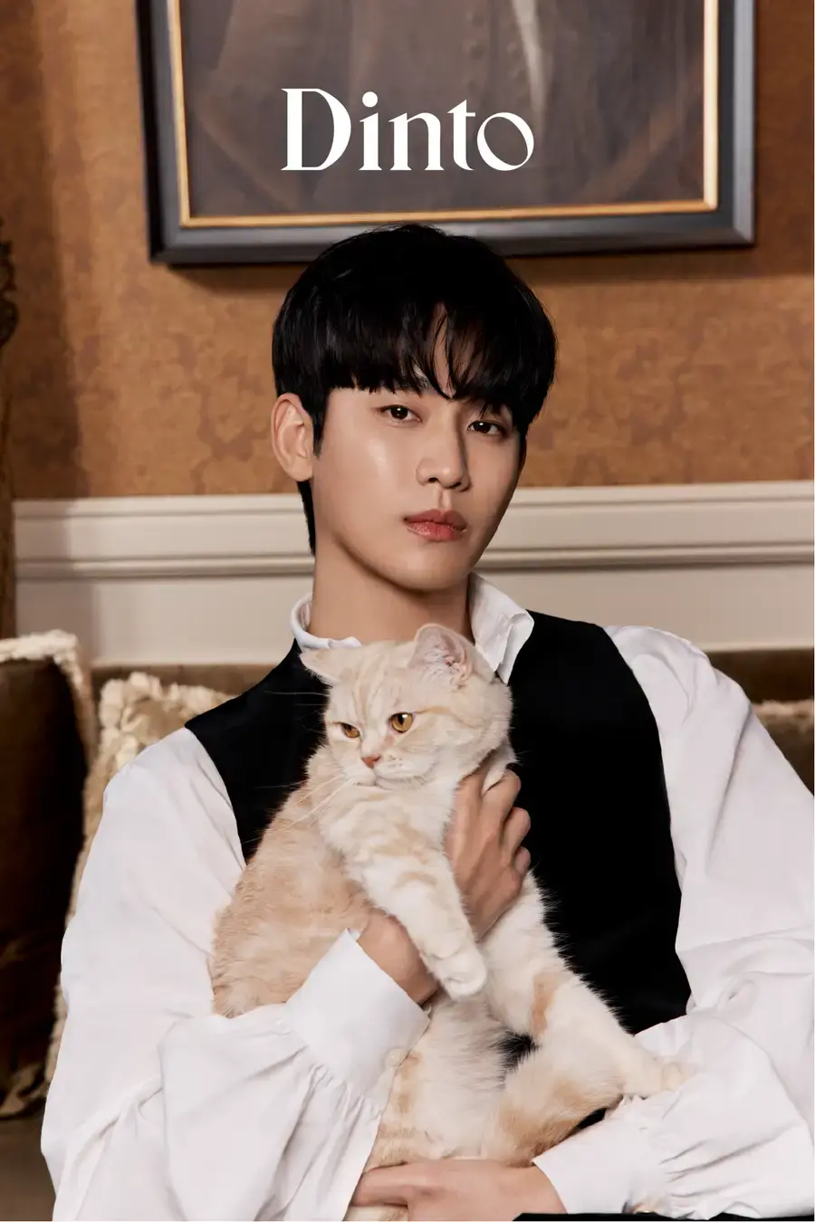 Dintoからキム・スヒョンさんのプロモーション・人気インフルエンサーせよさんコラボ商品が発売の画像