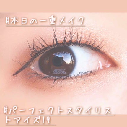 【旧品】パーフェクトスタイリストアイズ No.19 アーバンコッパー/キャンメイク/アイシャドウパレットを使ったクチコミ(1枚目)