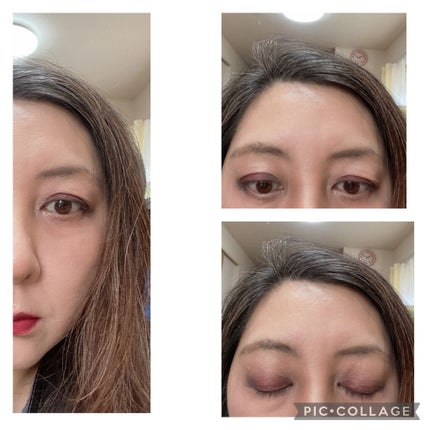 カラーリッシュモイストマットN 250 リッチメルロー/ロレアル パリ/口紅の画像