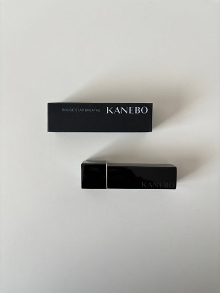 カネボウ ルージュスターブリーズ/KANEBO/口紅を使ったクチコミ(5枚目)
