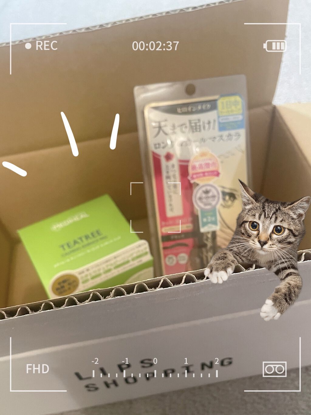 ティーツリーカーミングエッセンスパッド/MEDIHEAL/トナーパッドを使ったクチコミ（1枚目）