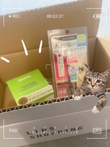 ロングUPマスカラ スーパーWP/ヒロインメイク/マスカラを使ったクチコミ(1枚目)