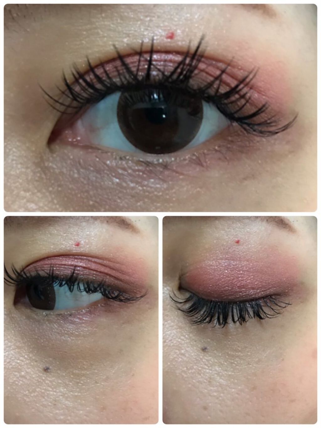 アズキ フィユテ アイ パレット/shu uemura/アイシャドウパレットを使ったクチコミ(3枚目)