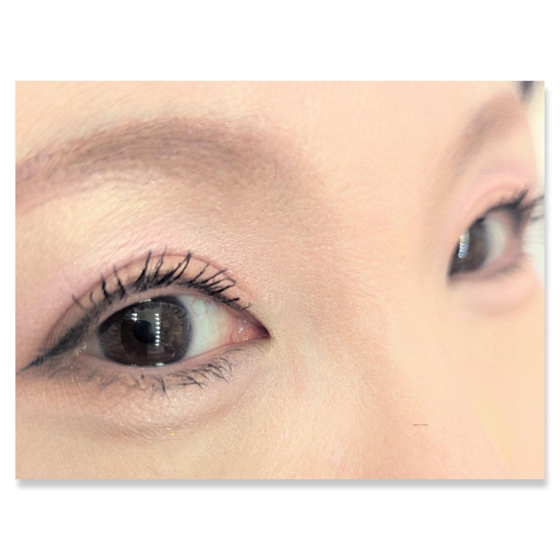 ル・ヌフ・ジバンシイ/GIVENCHY/アイシャドウパレットを使ったクチコミ（2枚目）