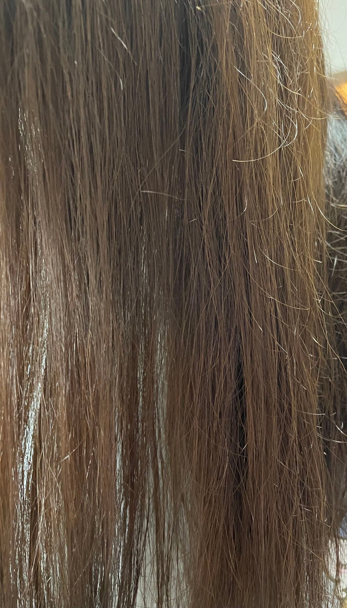 エッセンシャル プレミアム ウォータートリートメント EXスムース/エッセンシャル/アウトバストリートメントを使ったクチコミ(5枚目)