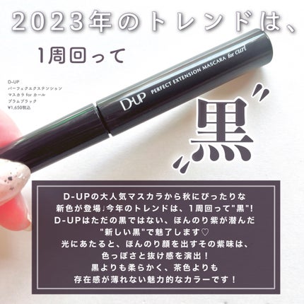 パーフェクトエクステンション マスカラ for カール/D-UP/マスカラを使ったクチコミ(2枚目)