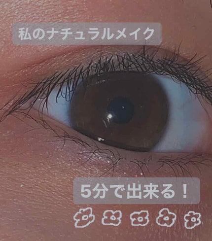 【旧品】パーフェクトスタイリストアイズ/キャンメイク/アイシャドウパレットを使ったクチコミ(1枚目)