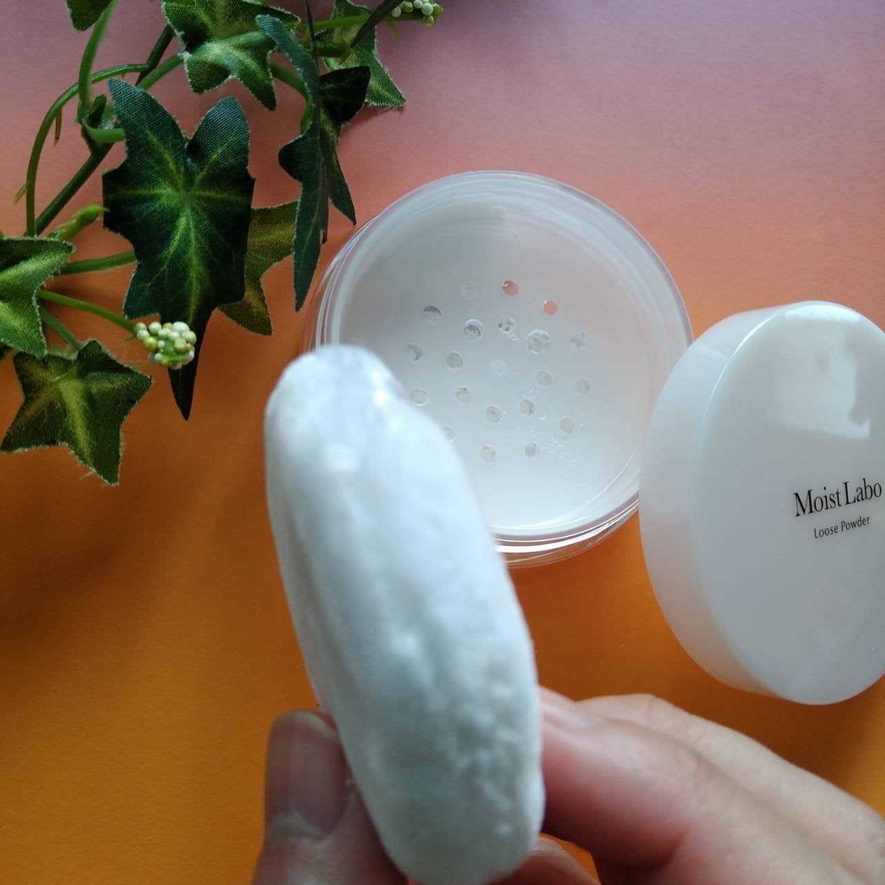 ルースパウダー<テカリ防止タイプ>/Moist Labo/ルースパウダーを使ったクチコミ(4枚目)