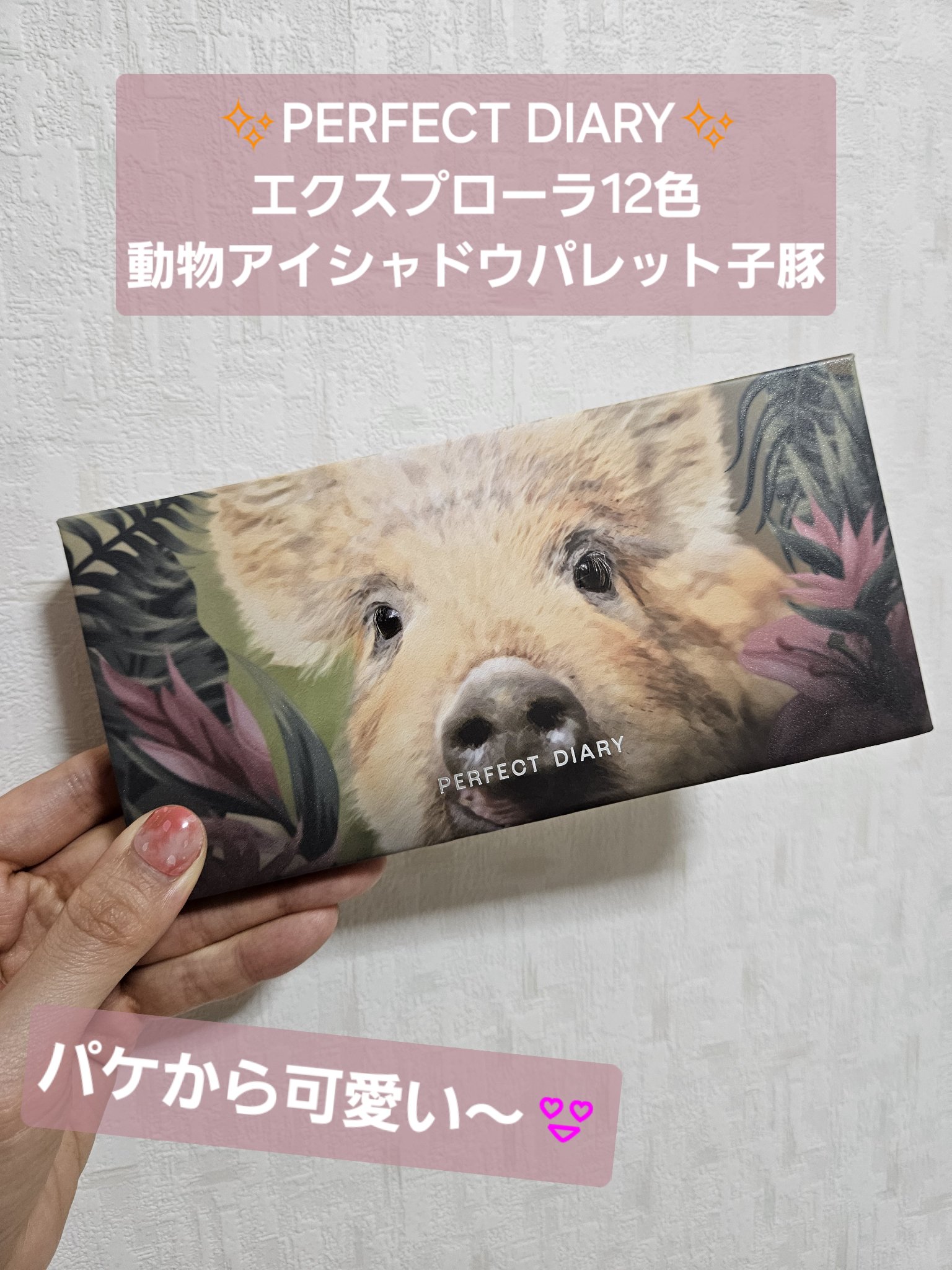エクスプローラ12色 動物アイシャドウパレット/PERFECT DIARY/アイシャドウパレットを使ったクチコミ（1枚目）