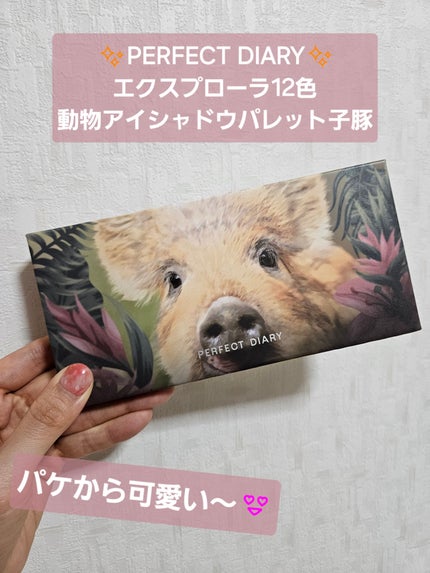 エクスプローラ12色 動物アイシャドウパレット/PERFECT DIARY/アイシャドウパレットを使ったクチコミ(1枚目)