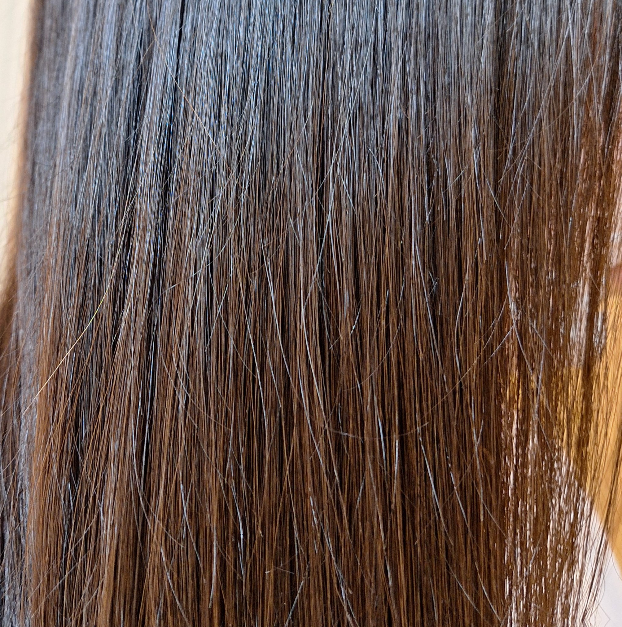 SALON TOKYO プロフェッショナルシャイン　シャンプー/トリートメント トリートメント（400g）/SALON TOKYO/市販シャンプーを使ったクチコミ（2枚目）