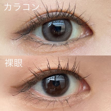 chuuLENS Milk&Tea 1day/chuu LENS/ワンデー(1DAY)カラコンを使ったクチコミ(4枚目)