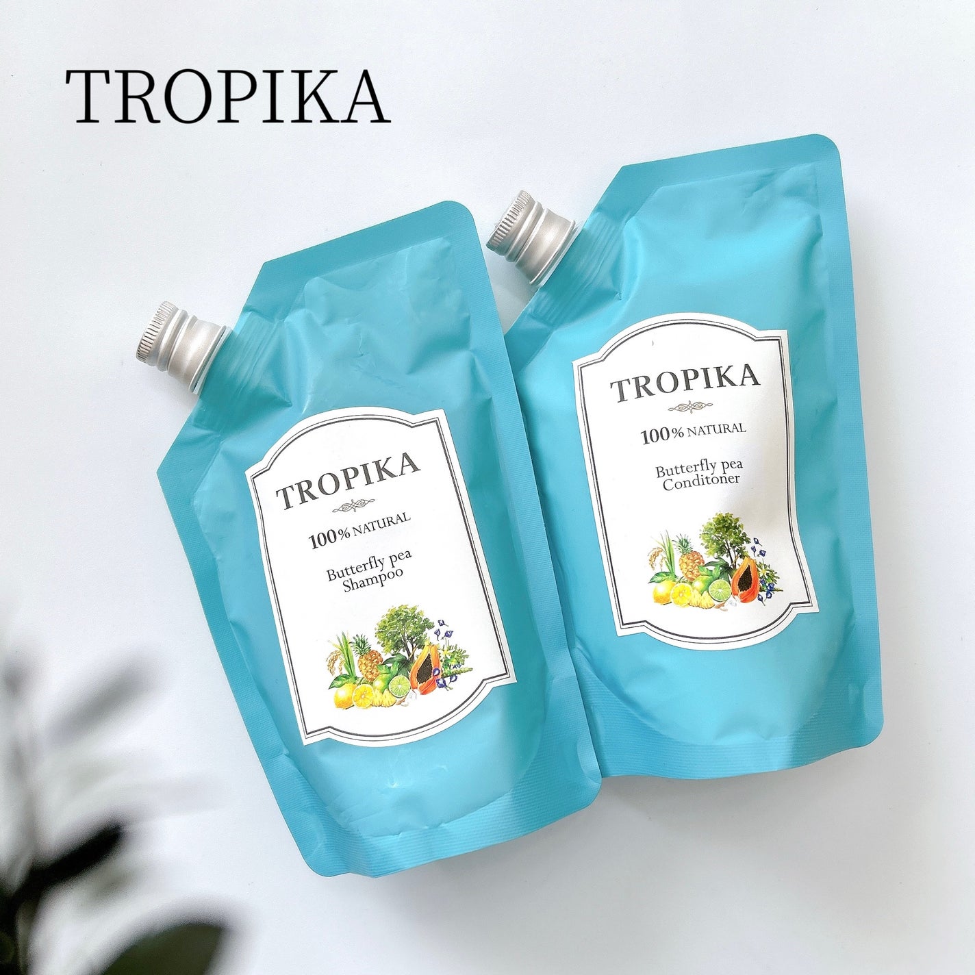 バタフライピーシャンプー/バタフライピーコンディショナー/TROPIKA/市販シャンプーを使ったクチコミ(1枚目)