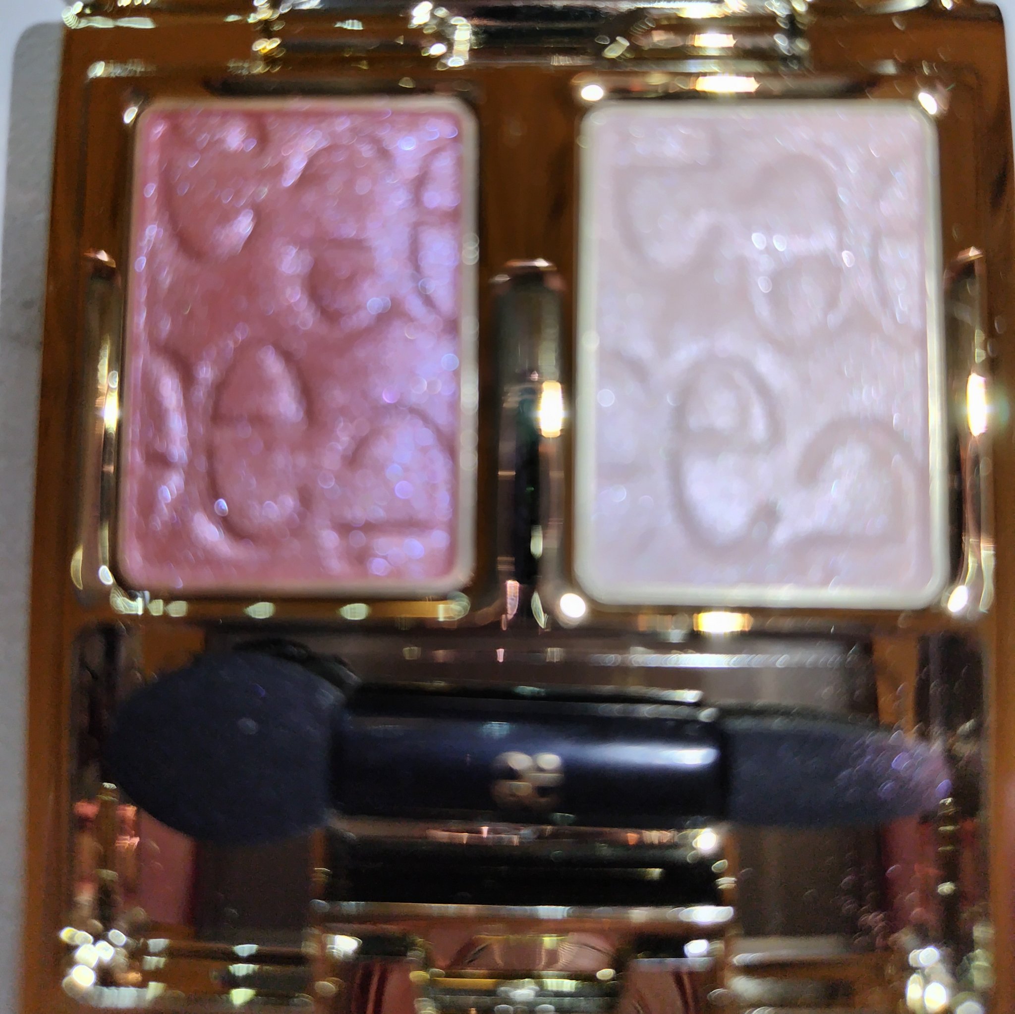 エレガンス アルモニーアイズ/Elégance/アイシャドウパレットを使ったクチコミ（2枚目）