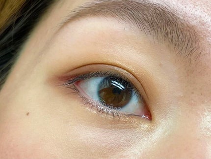 レ キャトル オンブル/CHANEL/アイシャドウパレットを使ったクチコミ(6枚目)