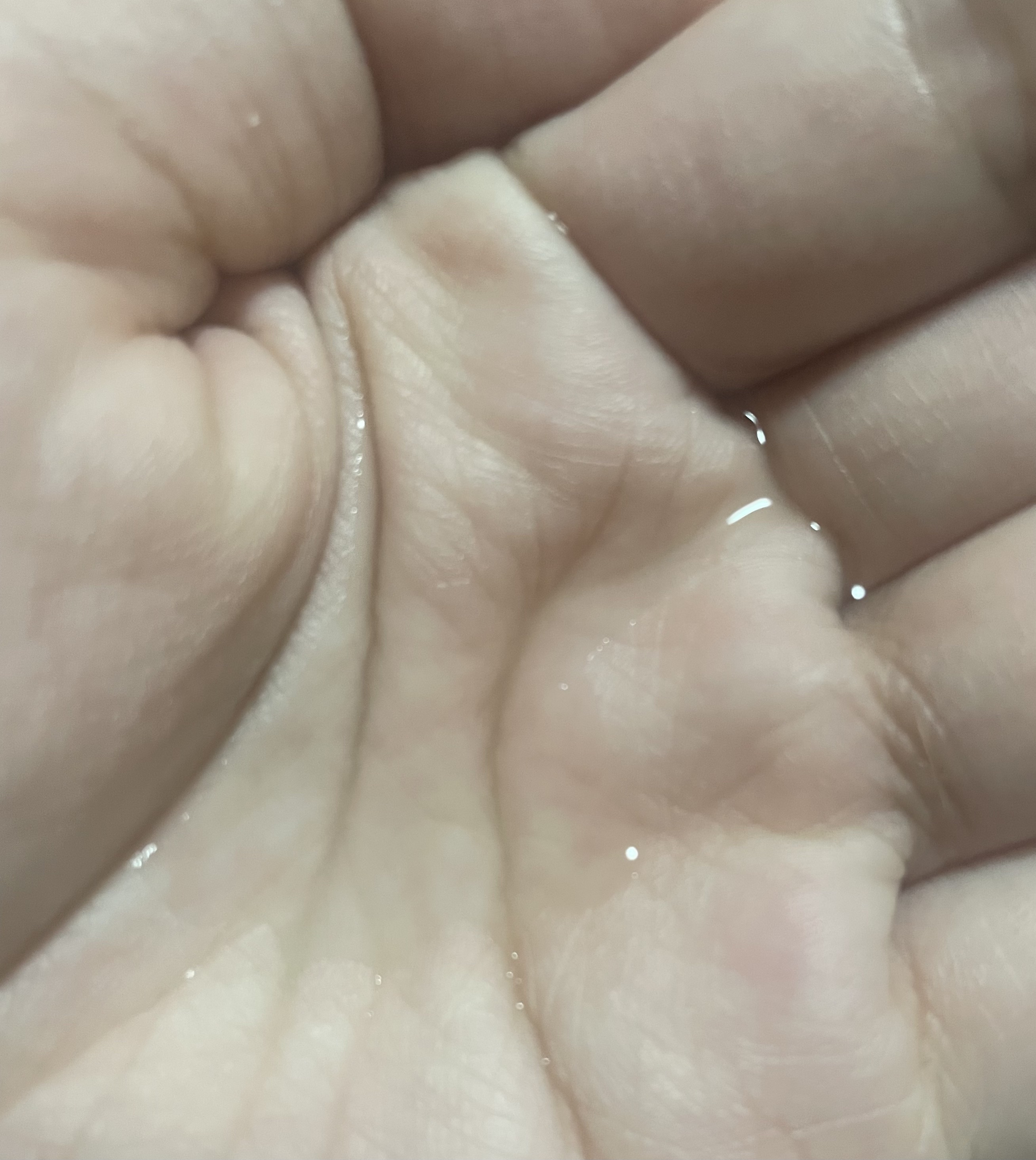 ボーンパンテノールトゥートゥーセラム/SAM'U/美容液を使ったクチコミ（3枚目）