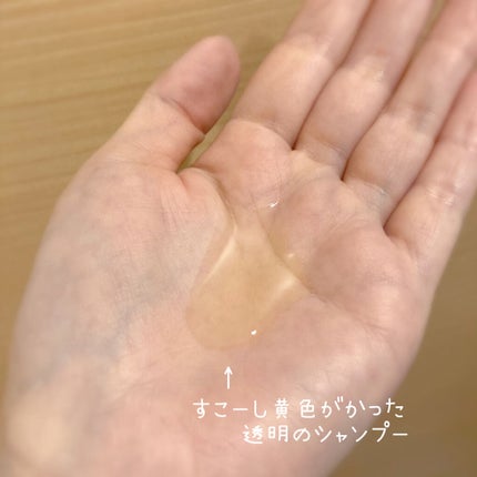 ハホニコ18コラシルク/ハホニコハッピーライフ/シャンプー・コンディショナーを使ったクチコミ(3枚目)