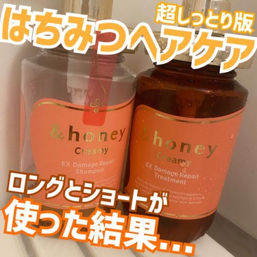 Creamy EXダメージリペアシャンプー1.0/ヘアトリートメント2.0/&honey/シャンプー・コンディショナーを使ったクチコミ（1枚目）