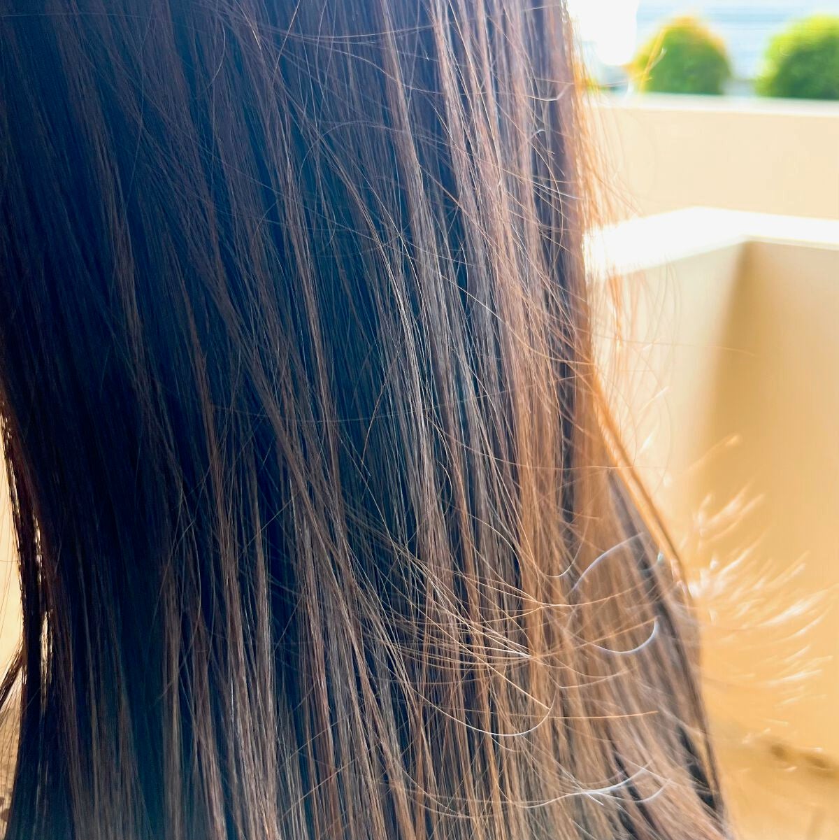 プルント コントロール美容液シャンプー/トリートメント/Purunt./市販シャンプーを使ったクチコミ(4枚目)