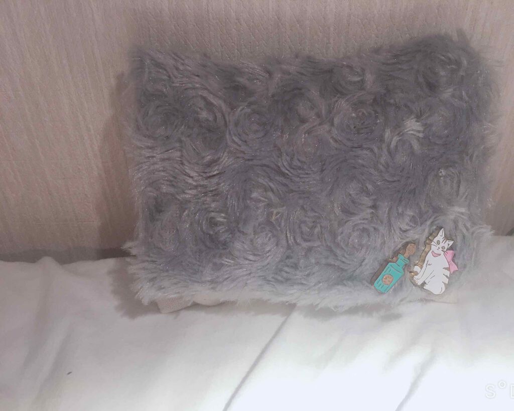 ゆの on LIPS 「私の学校に持って行ってるポーチ紹介です🥰最後まで見て頂けたら嬉..」(1枚目)