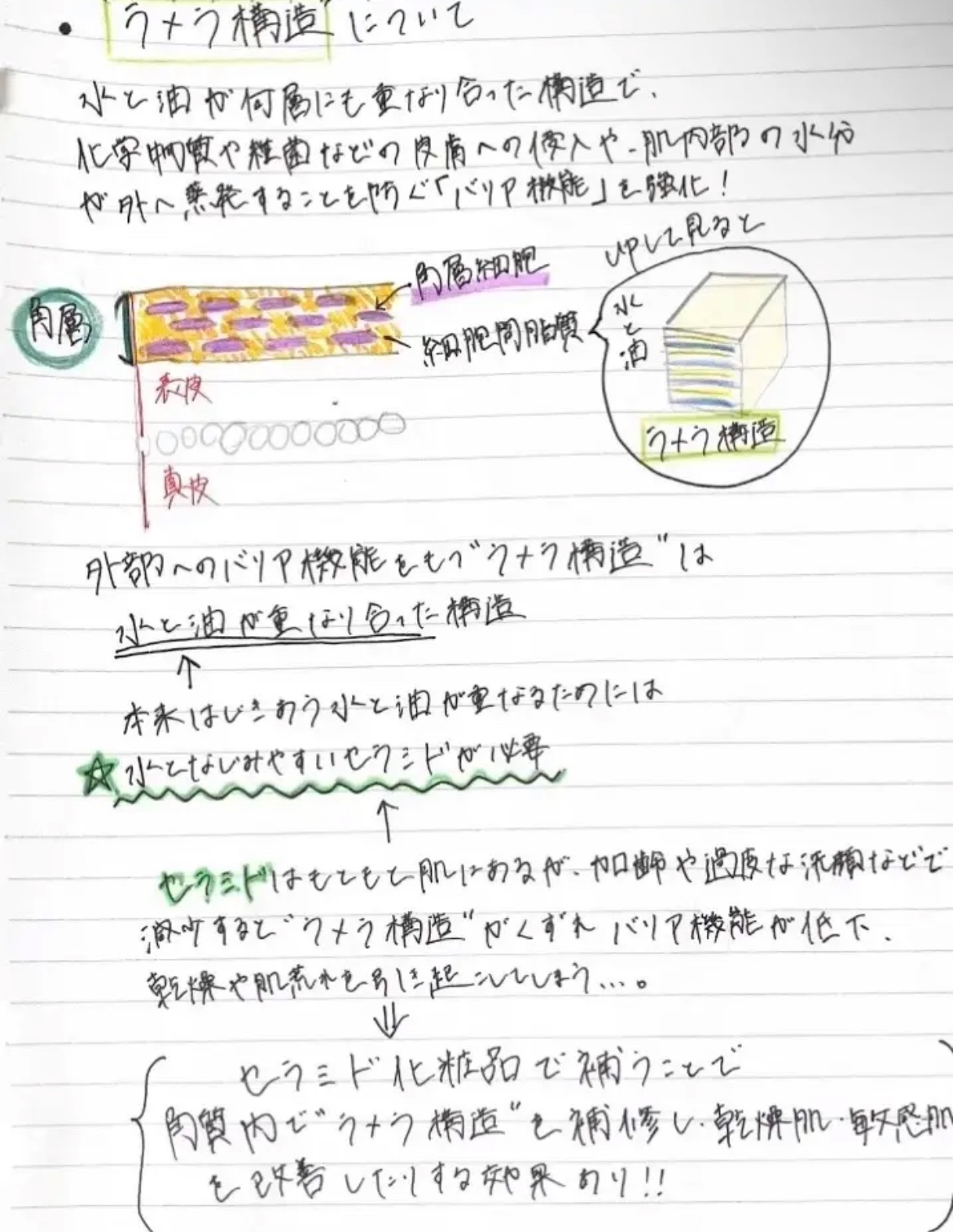 リポソーム アドバンスト　リペアセラム/DECORTÉ/美容液を使ったクチコミ（2枚目）