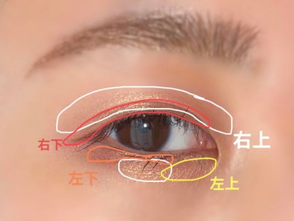 カラーリングアイブロウ/ヘビーローテーション/眉マスカラを使ったクチコミ(2枚目)