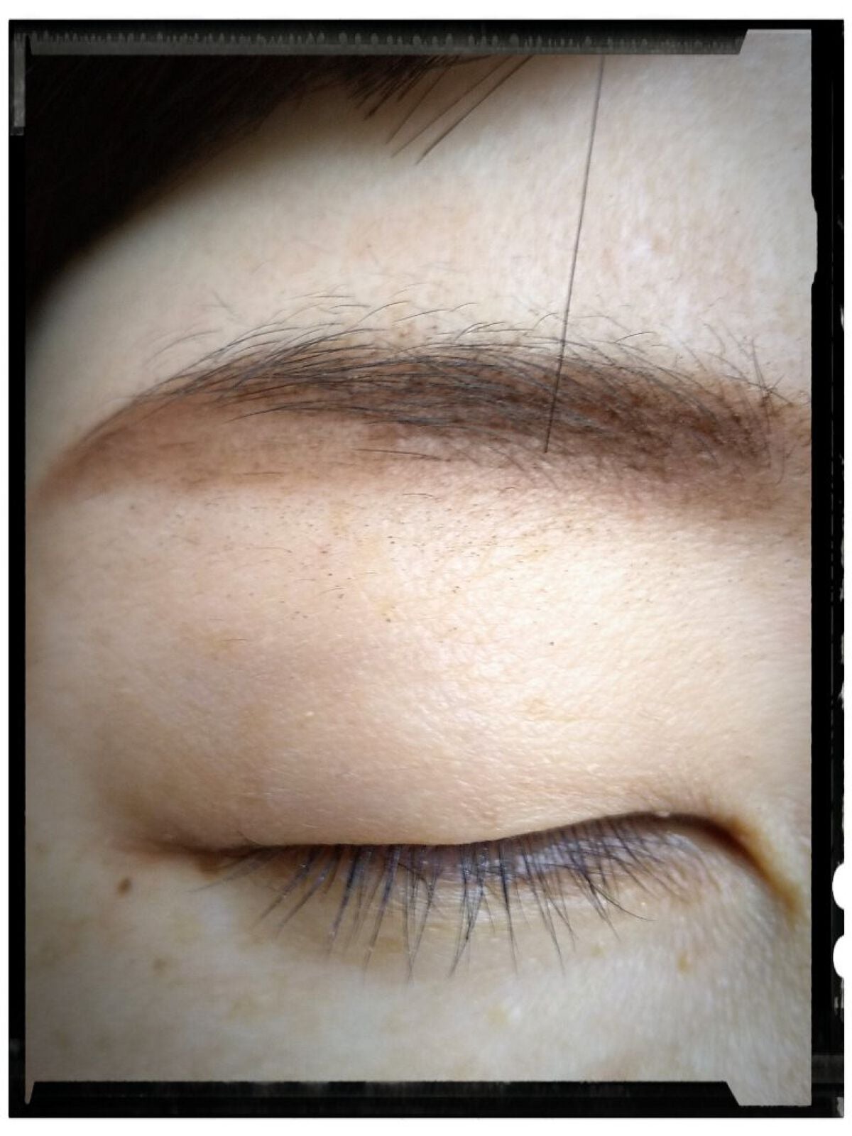 チップオン パウダーアイブロウ/グレイシィ/パウダーアイブロウを使ったクチコミ(4枚目)