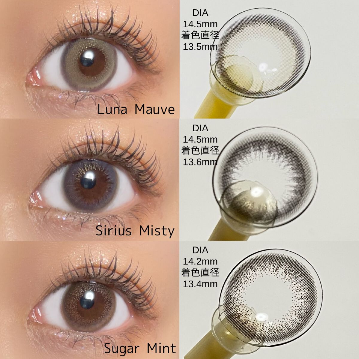 フェアリー ワンデー シマーリングシリーズ Venus Belt （ヴィーナスベルト）/FAIRY/ワンデー（１DAY）カラコンを使ったクチコミ（2枚目）