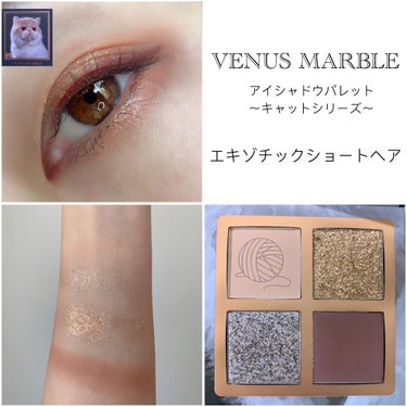 Venus Marble アイシャドウキャットシリーズ/Venus Marble/アイシャドウパレットを使ったクチコミ（9枚目）