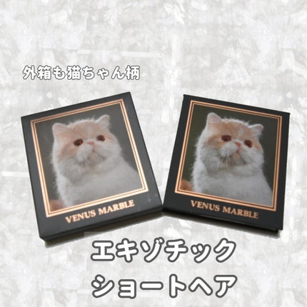 Venus Marble アイシャドウキャットシリーズ/Venus Marble/アイシャドウパレットを使ったクチコミ(2枚目)