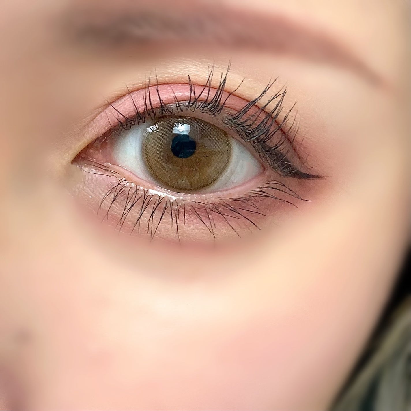 パーフェクトマルチアイズ/キャンメイク/アイシャドウパレットを使ったクチコミ(4枚目)