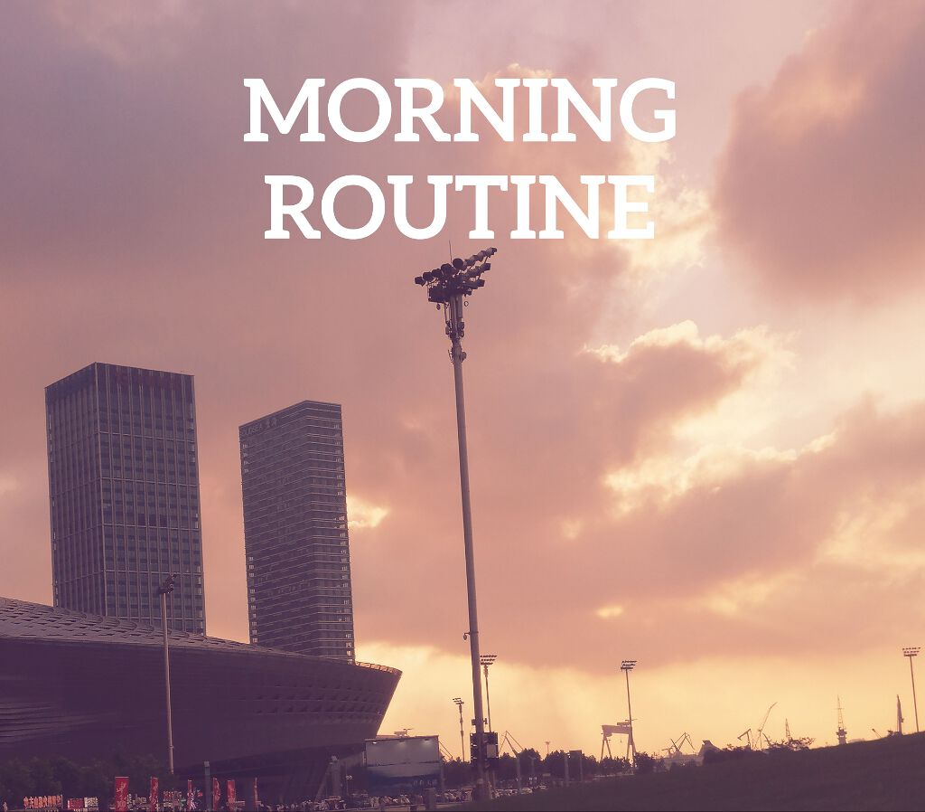 ストレートヘアアイロン/SALONIA/ストレートアイロンを使ったクチコミ（1枚目）