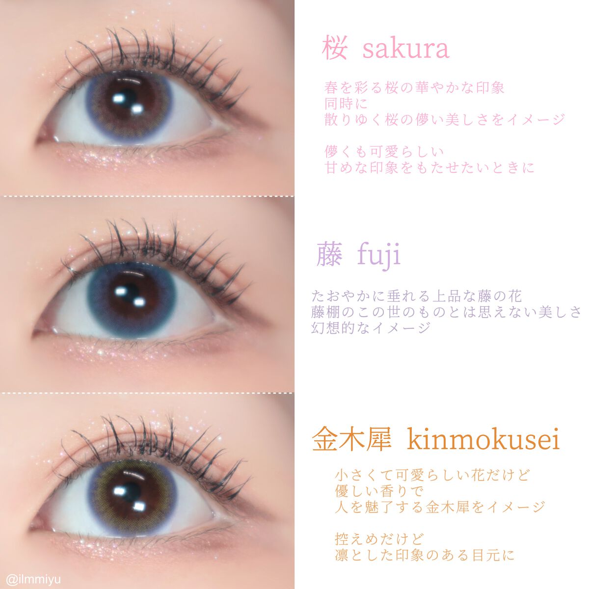 ミユ @ilmmiyu on LIPS 「▫️花で彩るカラコン💐🤍〖・𝙏𝙬𝙞𝙩𝙩𝙚𝙧・𝙄𝙣𝙨𝙩𝙖𝙜𝙧..」(2枚目)