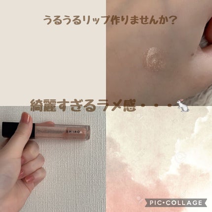 エッセンスリップオイルカラー/SHIRO/リップオイルを使ったクチコミ(1枚目)