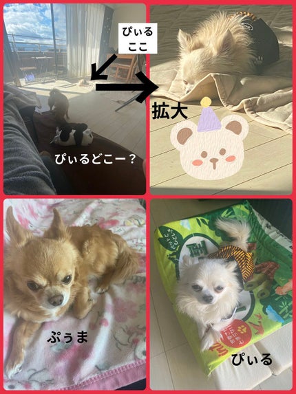 アイ カラー クォード/TOM FORD BEAUTY/アイシャドウパレットを使ったクチコミ(9枚目)